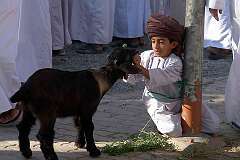 Nizwa, Oman - A boy with his goat at a goat market.