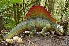 Otway, Victoria, Australia - A model of a Dimetrodon, a prehistoric reptile, in the forest at Otway Fly.