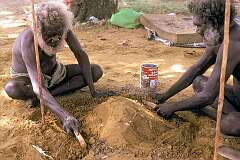 Wurrumiyanga, NT, Australia, 1986 - Cooking a yam during the traditional Tiwi “Kurlama” or Yam Ceremony on Bathurst Island.
