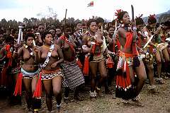 Lobamba, Eswatini, 1970 - The “Bantfwabenkosi”, daughters of King Sobhuza II, in the “uMhlanga” or Reed Dance.