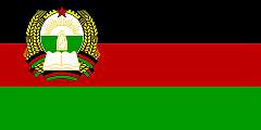DEMOCRATIC REPUBLIC OF AFGHANISTAN, 1980