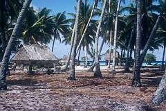 The village of Tabontebike in the south of Abaiang atoll.