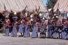 Townsville, Queensland, Australia, 1988 - Dancers from Mount Hagen, Papua New Guinea, at the Festival of Pacific Arts.