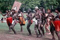 Townsville, Queensland, Australia, 1988 - Dance from Warnum (Turkey Creek), northern Western Australia, at the Festival of Pacific Arts.