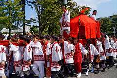 Matsuyama, Shikoku, Japan, 2014 - Carrying a mikoshi, a portable Shinto shrine, at the  Mikoshi Festival.