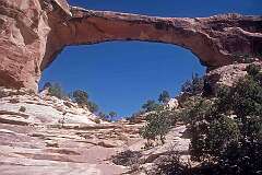 Natural Bridges, Utah, USA - The Owachomo Bridge in White Canyon, Natural Bridges National Monument.