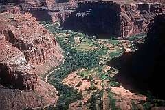 Supai, Arizona, USA - View to Supai village, in the Havasupai Indian Reservation, in the Grand Canyon.
