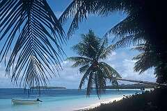 Woleai, Yap State, Micronesia - The lagoon with coconut palms on Falalop island, Woleai atoll.
